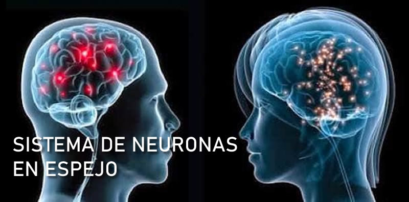 SISTEMA DE NEURONAS EN ESPEJO